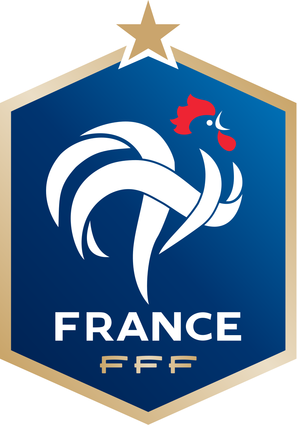 L’équipe de France à l’image de Paul Pogba, Blaise Matuidi, Kingsley Coman possèdent tous les atouts pour réaliser une belle compétition de l’Euro 2016.
