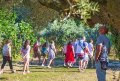 Camping Lou Pantaï, la villégiature idyllique pour les vacances d’été