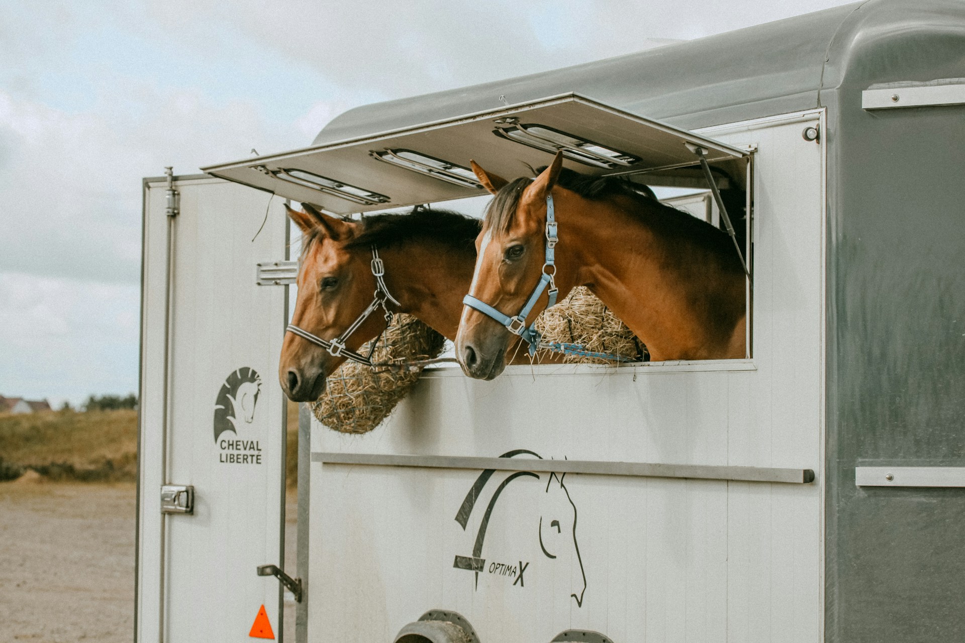 La solution pour le transport de vos chevaux est sur carrosserie-ameline.com